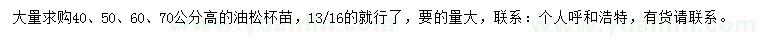 求購(gòu)高40、50、60、70公分油松