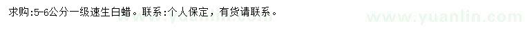 求購5-6公分速生白蠟