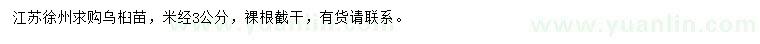 求購米徑3公分烏桕苗