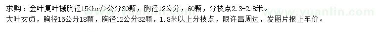 求購金葉復(fù)葉槭、大葉女貞