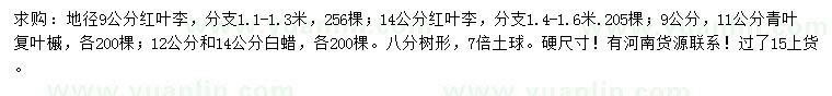 求購紅葉李、青葉復葉槭、白蠟