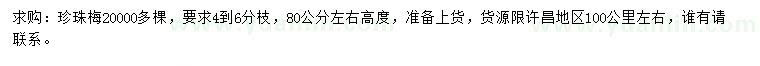 求購80公分左右高度珍珠梅