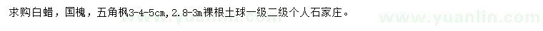 求購3-4-5公分白蠟、國槐、五角楓