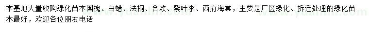 求購國槐、白蠟、法桐等