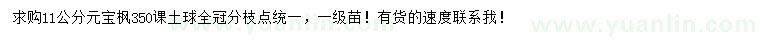 求購11公分元寶楓