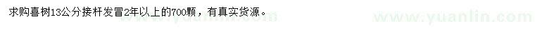 求購(gòu)13公分喜樹(shù)