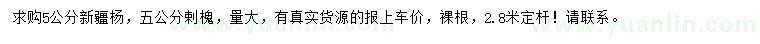 求購5公分新疆楊、剌槐