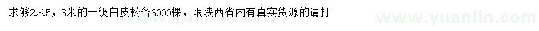 求購2.5、3米白皮松
