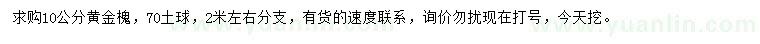 求購(gòu)10公分黃金槐