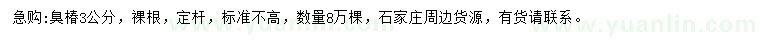 求購3公分臭椿