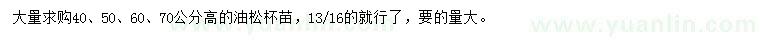 求購40、50、60、70公分高油松