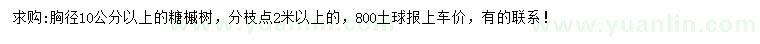 求購(gòu)胸徑10公分以上的糖槭樹