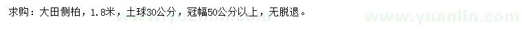 求購1.8米側(cè)柏
