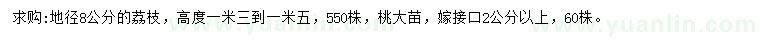 求購(gòu)地徑8公分荔枝