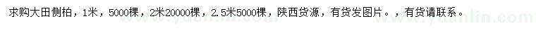 求購1、2、2.5米大田側柏