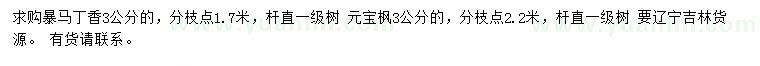 求購(gòu)3公分暴馬丁香、3公分元寶楓