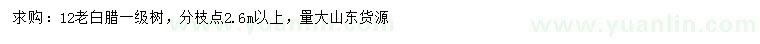 求購12公分老白臘