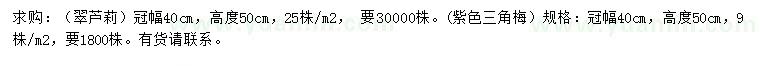 求購冠幅40公分翠蘆莉、紫色三角梅