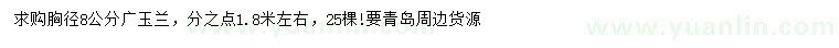 求購胸徑8公分廣玉蘭