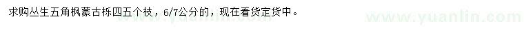 求購6、7公分叢生五角楓、蒙古櫟