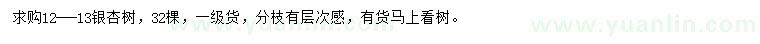 求購12-13公分銀杏