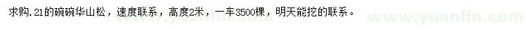求購高2米華山松