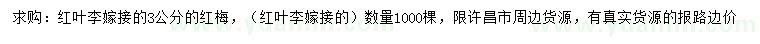 求購(gòu)3公分紅梅