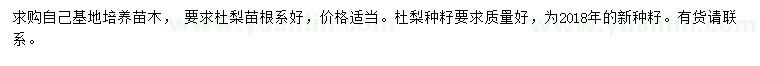 求購(gòu)杜梨苗、杜梨種籽