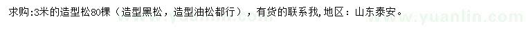 求購3米造型松
