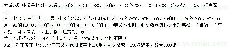 求購樸樹、叢生樸樹、黃連木等