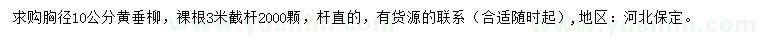 求購(gòu)胸徑10公分黃垂柳