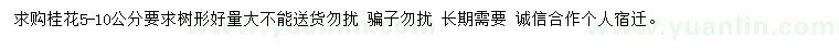 求購5-10公分桂花