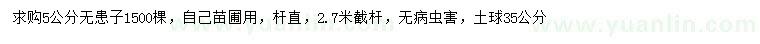 求購(gòu)5公分無(wú)患子