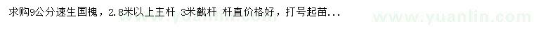 求購9公分速生國槐
