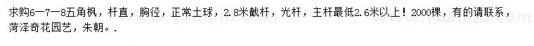 求購6、7、8公分五角楓
