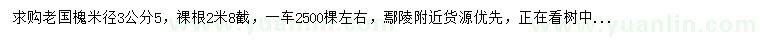 求購米徑3.5公分老國槐