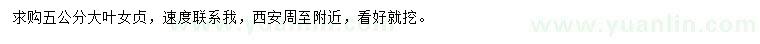 求購(gòu)5公分大葉女貞