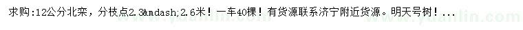 求購12公分北欒