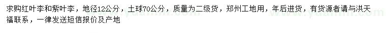 求購地徑12公分紅葉李、紫葉李