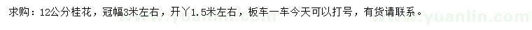 求購12公分桂花