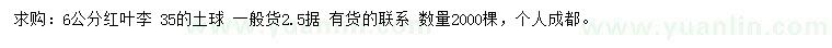 求購6公分紅葉李