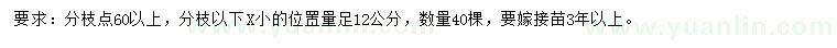 求購分枝點60以上嫁接紅梅