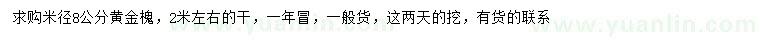 求購米徑8公分黃金槐