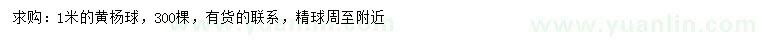 求購1米黃楊球