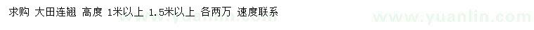 求購(gòu)高度1米、1.5米以上連翹