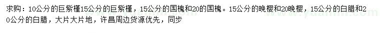 求購(gòu)巨紫荊、國(guó)槐、晚櫻等