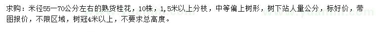 求購米徑55-70公分左右桂花