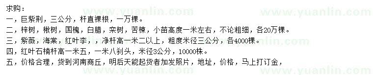 求購巨紫荊、梓樹、楸樹等