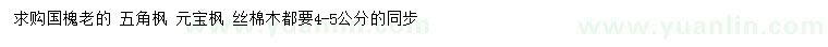 求購4-5公分老國槐、五角楓、元寶楓等