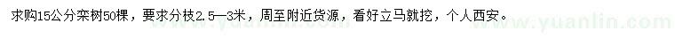 求購15公分欒樹